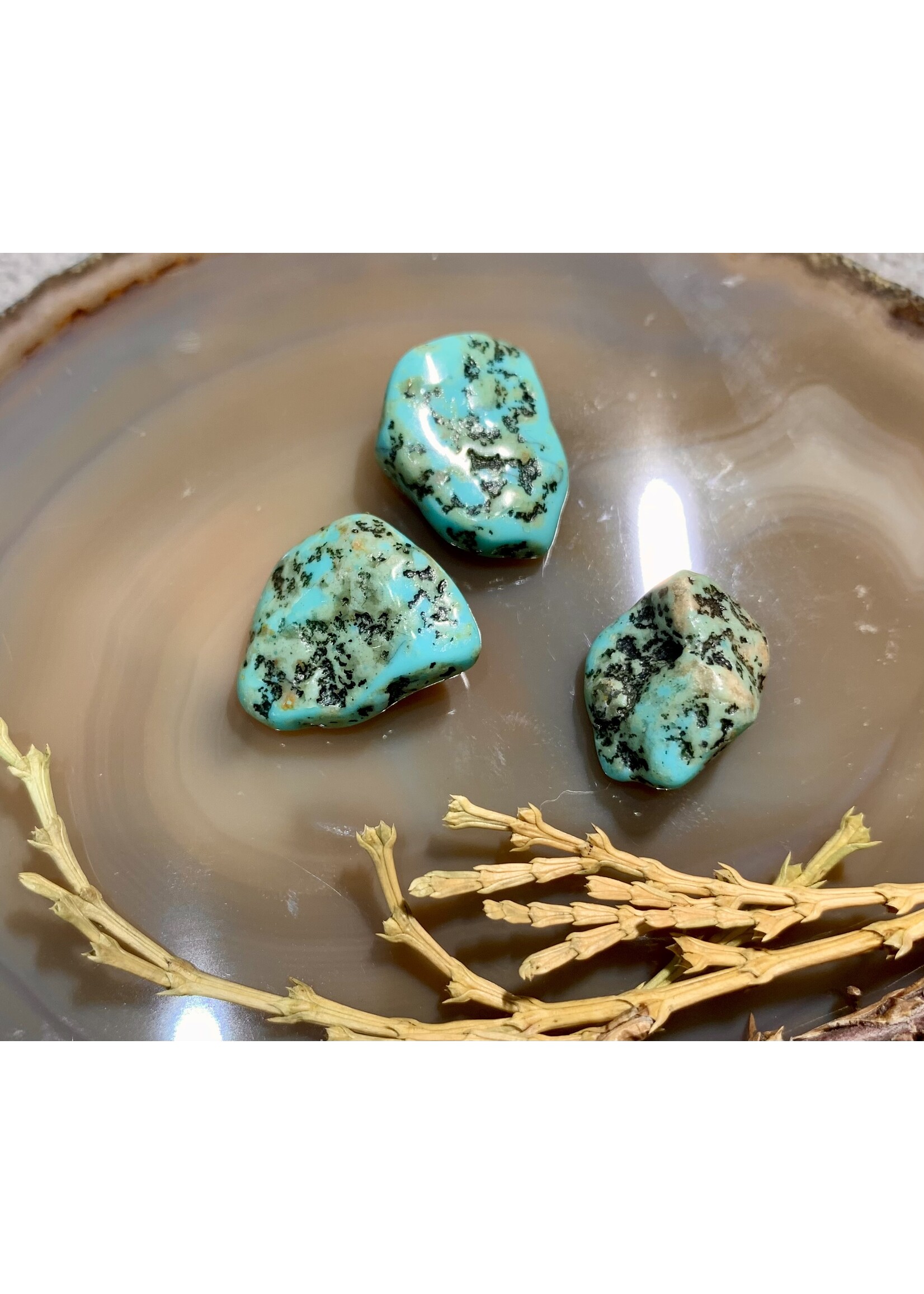 Turquoise