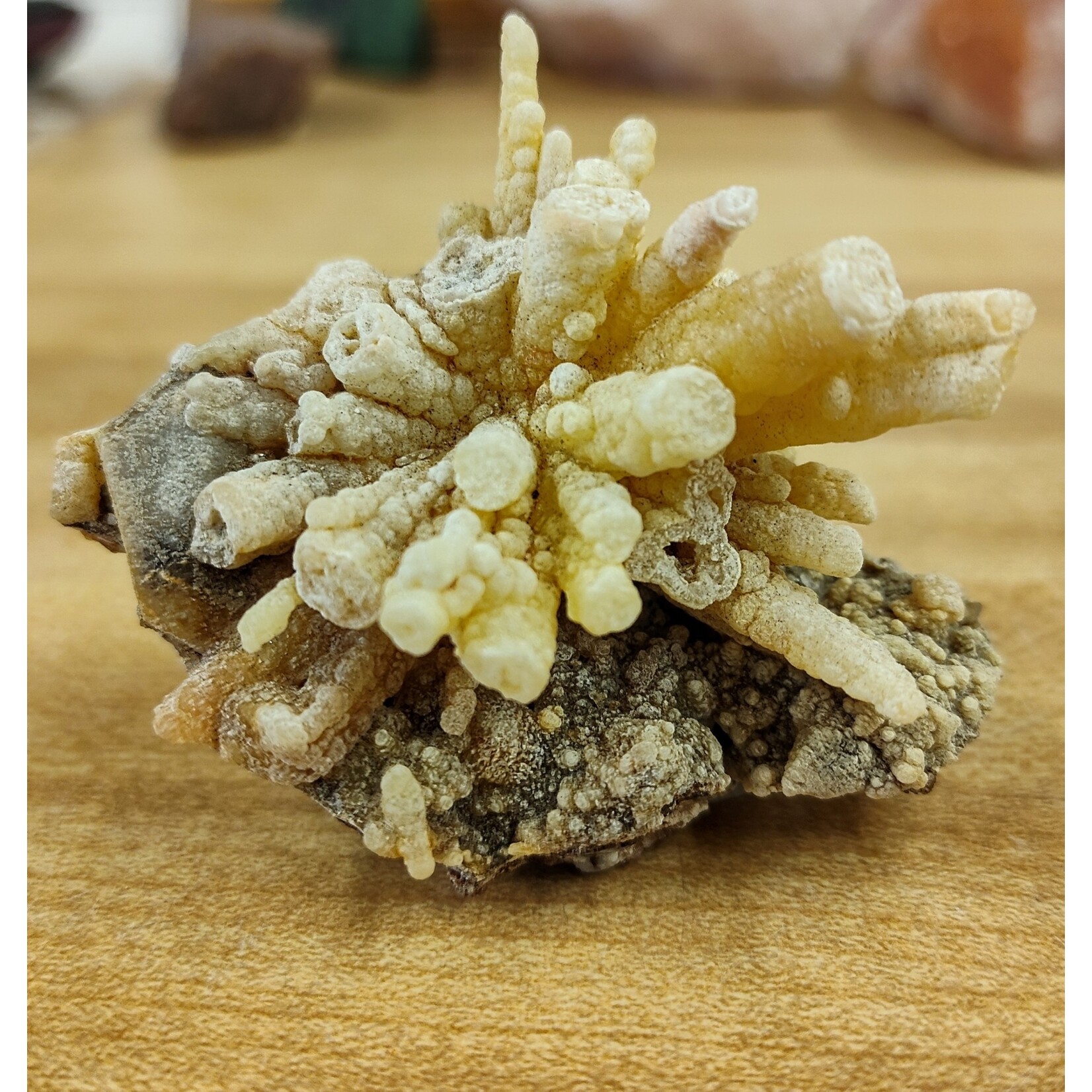 Pseudomorph After Calcite &  Quartz