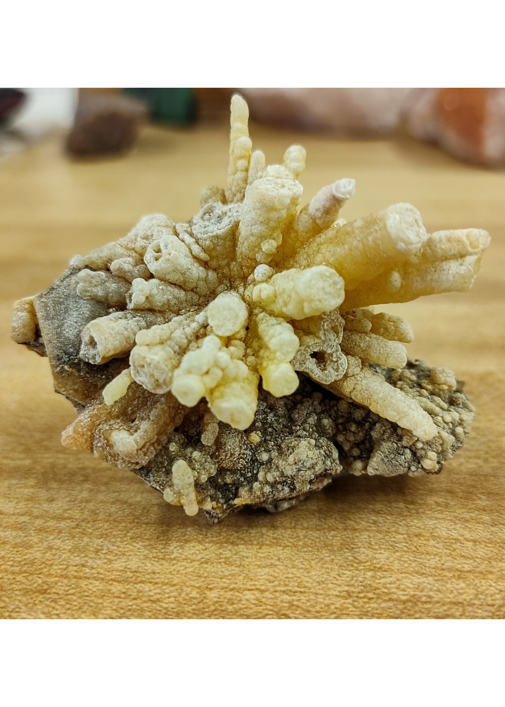 Pseudomorph After Calcite &  Quartz