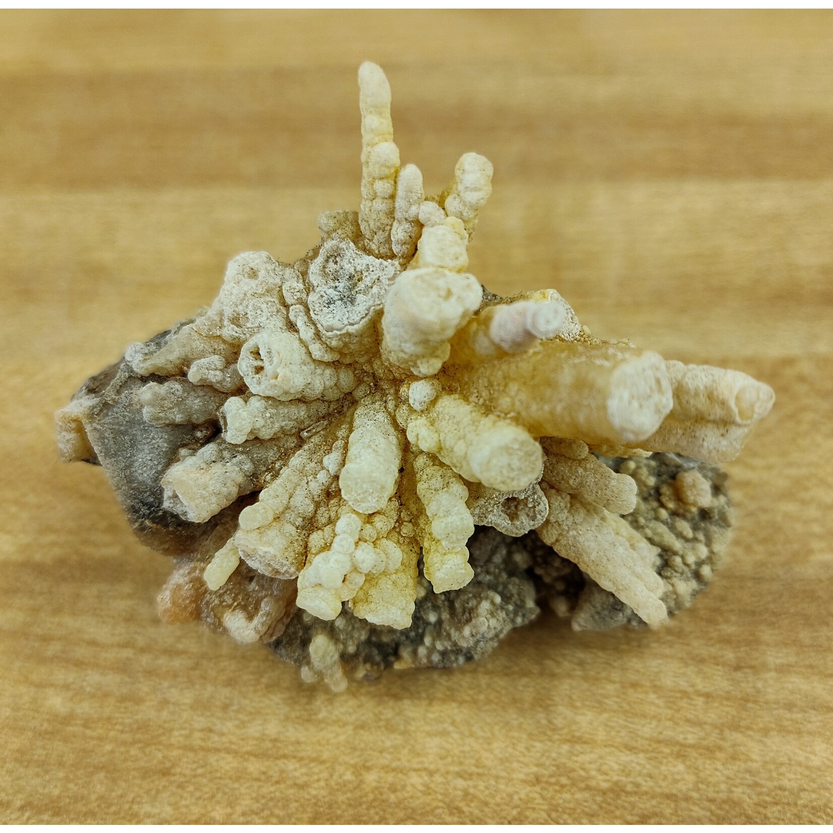 Pseudomorph After Calcite &  Quartz