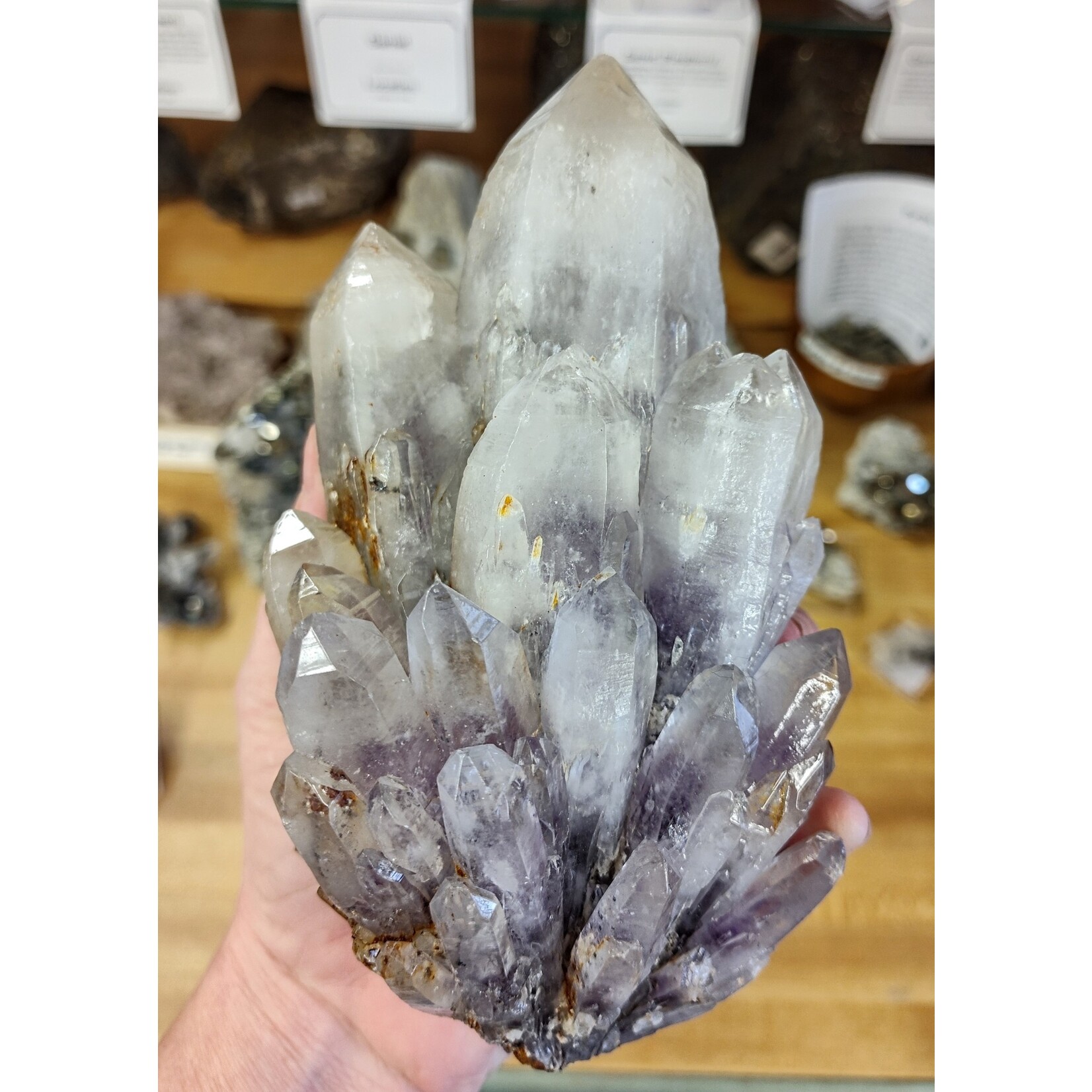 Amethyst Cluster Specimen