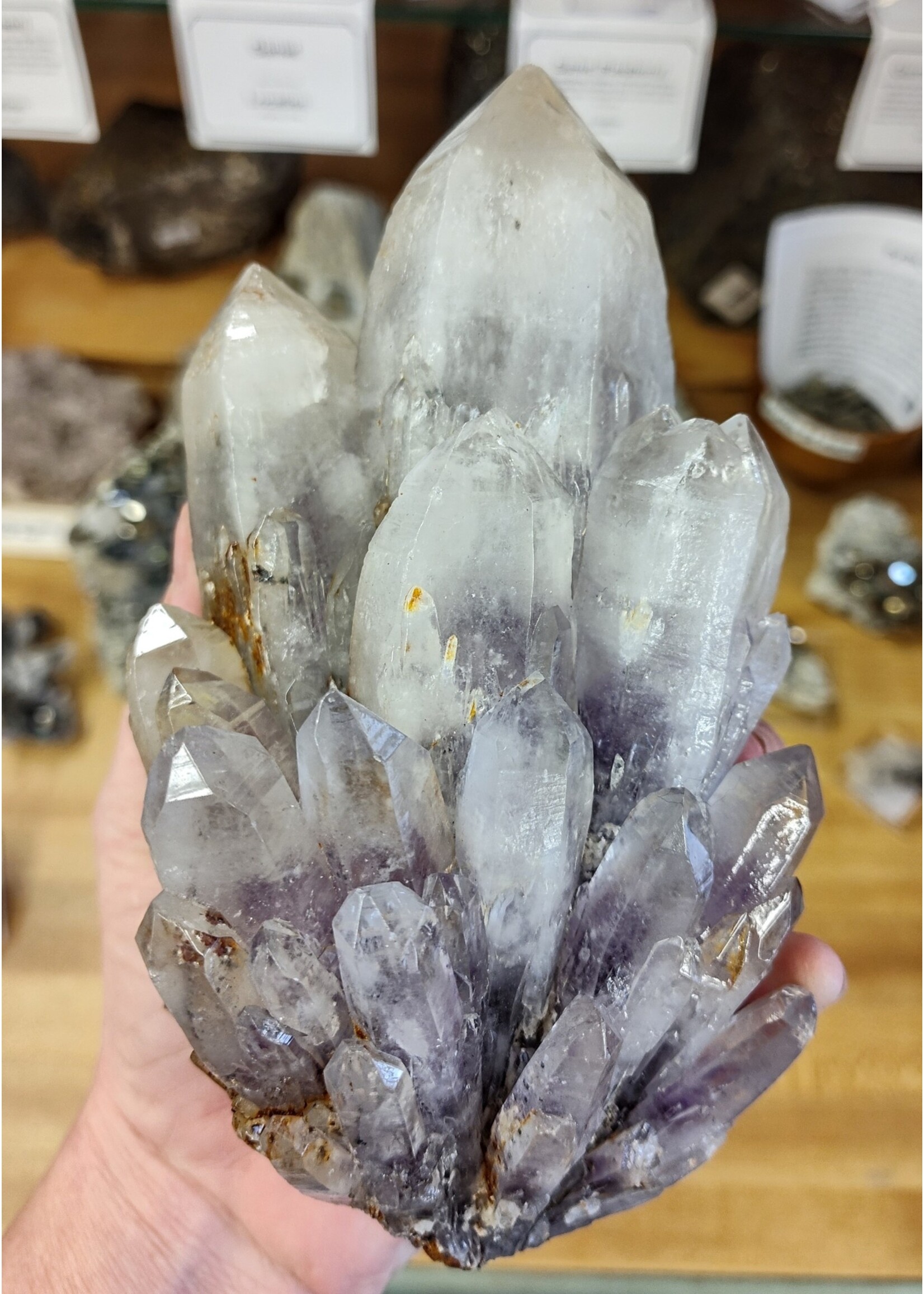 Amethyst Cluster Specimen