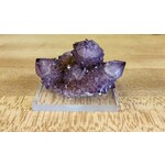 Cactus Quartz Multiple crystals