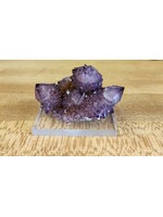 Cactus Quartz Multiple crystals