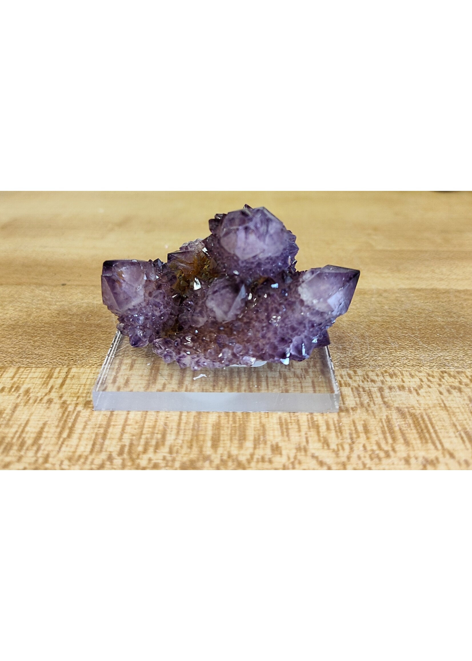Cactus Quartz Multiple crystals