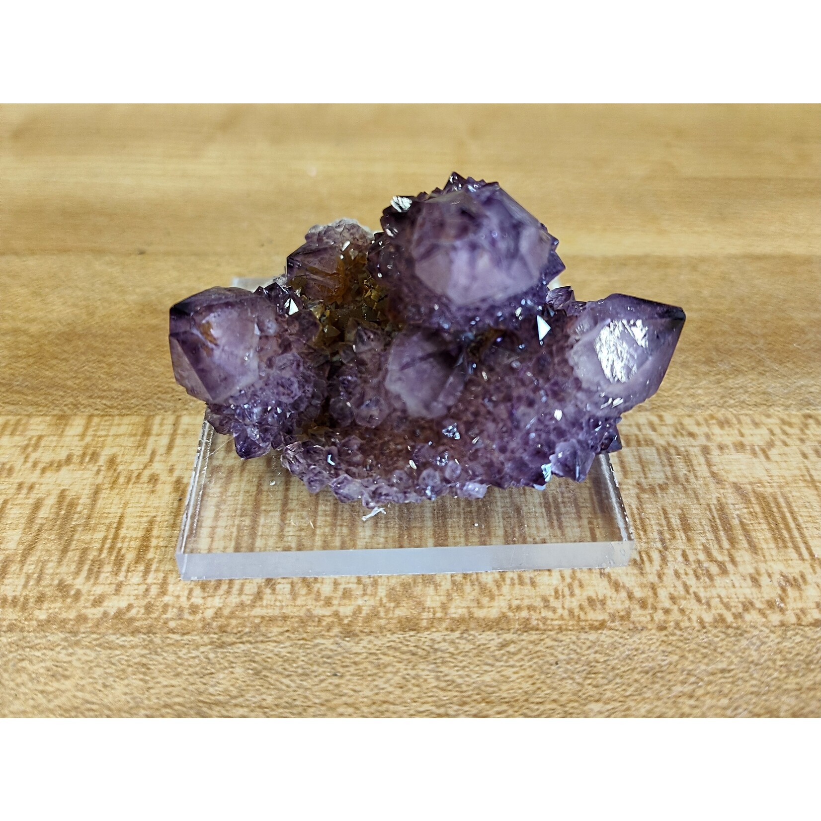Cactus Quartz Multiple crystals