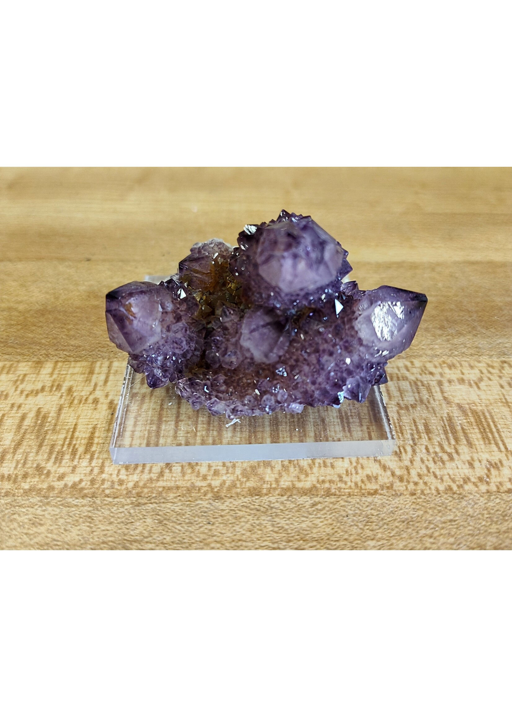 Cactus Quartz Multiple crystals