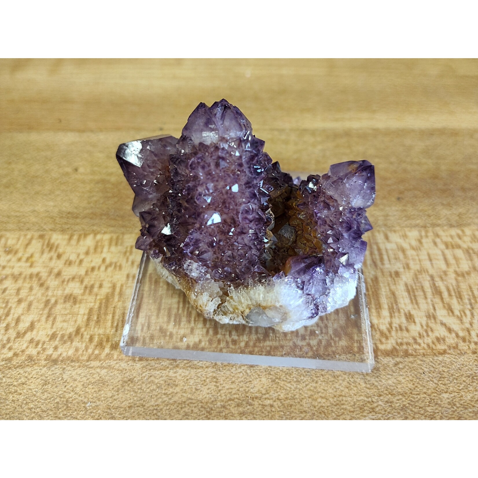 Cactus Quartz Multiple crystals