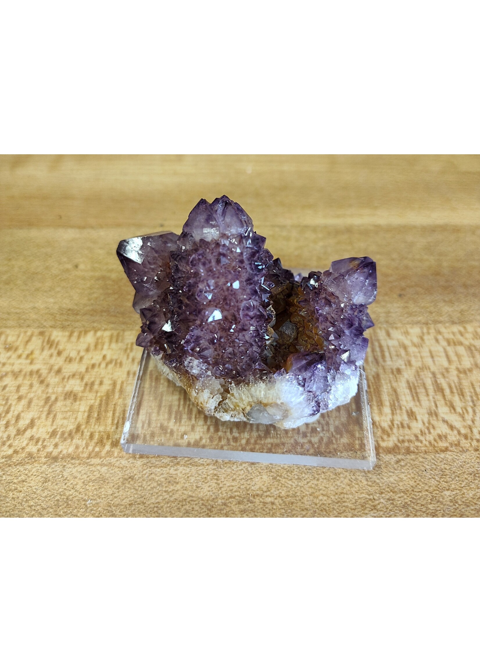 Cactus Quartz Multiple crystals