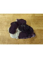 Fluorite ( Mexico)