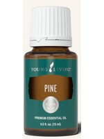 Pine