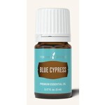 Blue Cypress (5ml)