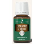 Eucalyptus Globulus