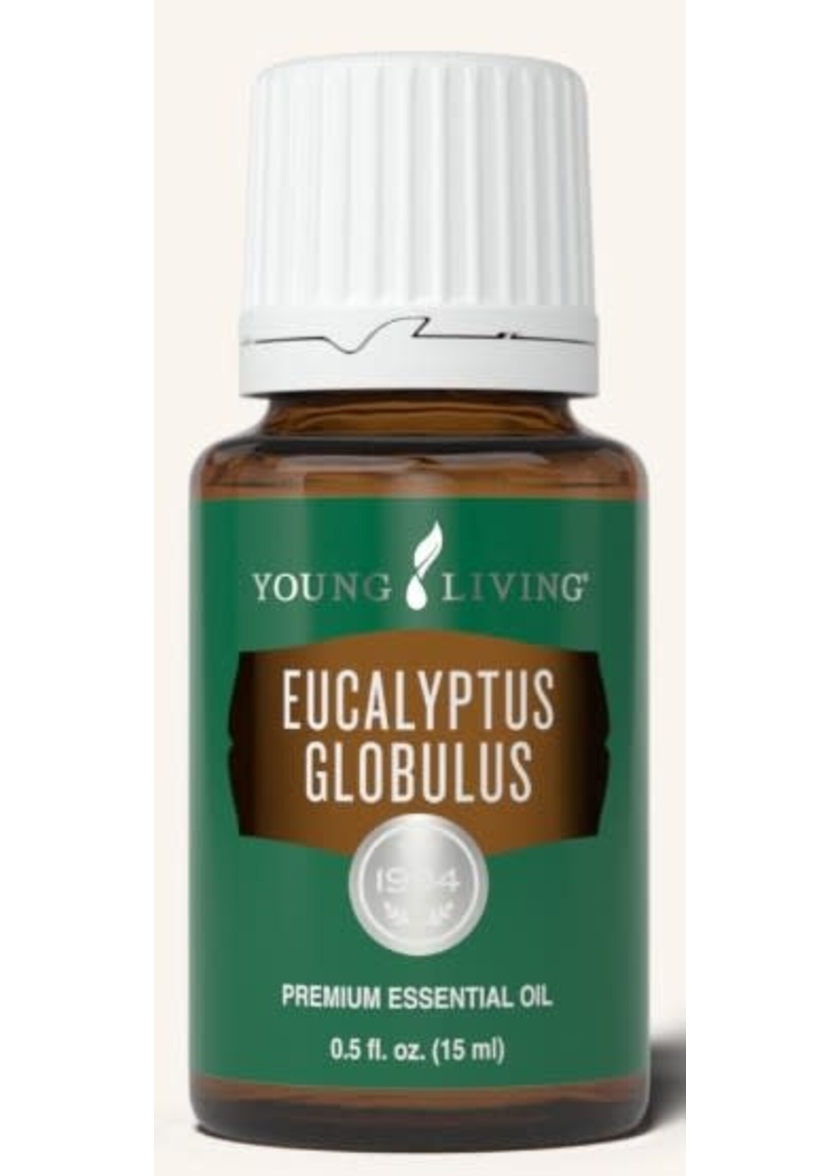 Eucalyptus Globulus