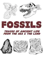 Fossils Traces of ancient coloring book