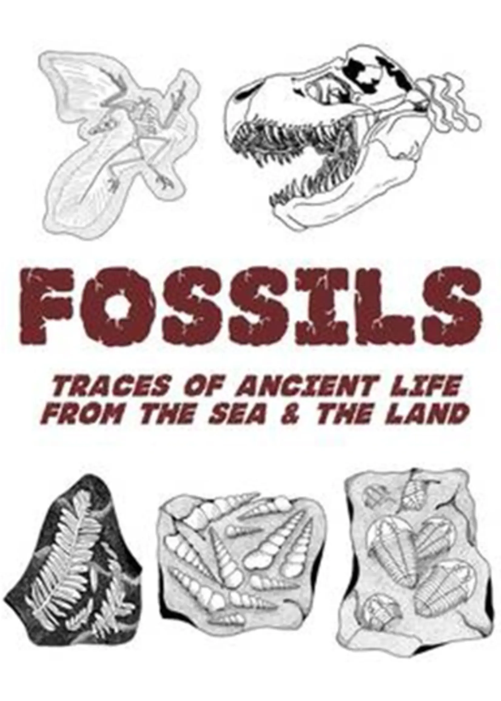 Fossils Traces of ancient coloring book