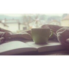 Mode de vie