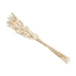 MUDPIE LARGUS GRASS BUNDLE