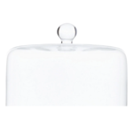 Estelle Colored Glass ESTELLE CAKE STAND DOME