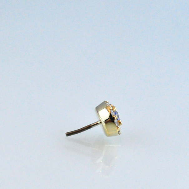 BVLA Altura with Tanzanite | Diamonds