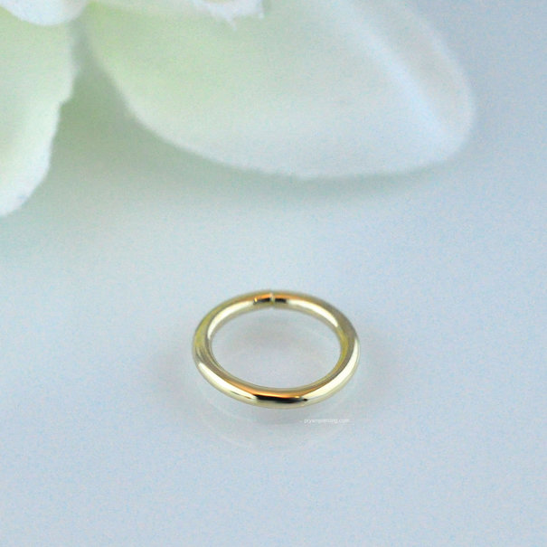 Prysm Body Jewelry Gold Seam Ring