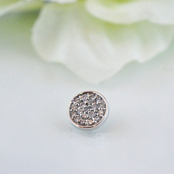 BVLA Micro Pave Disc