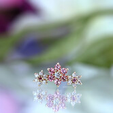 Estrella Clustered Flowers with Diamond | Padparadscha Sapphire