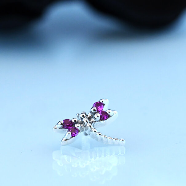 BVLA Damselfly