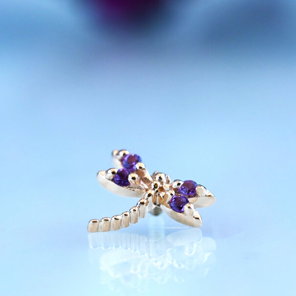 BVLA Damselfly