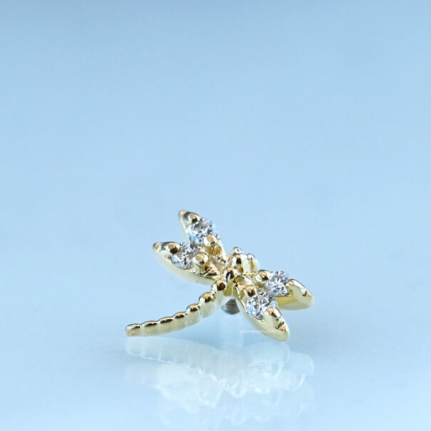 BVLA Damselfly