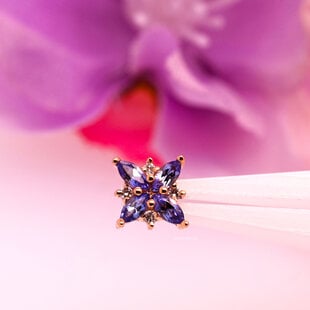 Mini Pleades with Tanzanite | Diamond