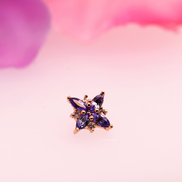 BVLA Mini Pleades with Tanzanite | Diamond