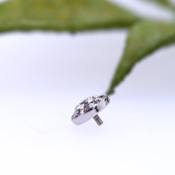 BVLA Altura with Diamonds 3mm