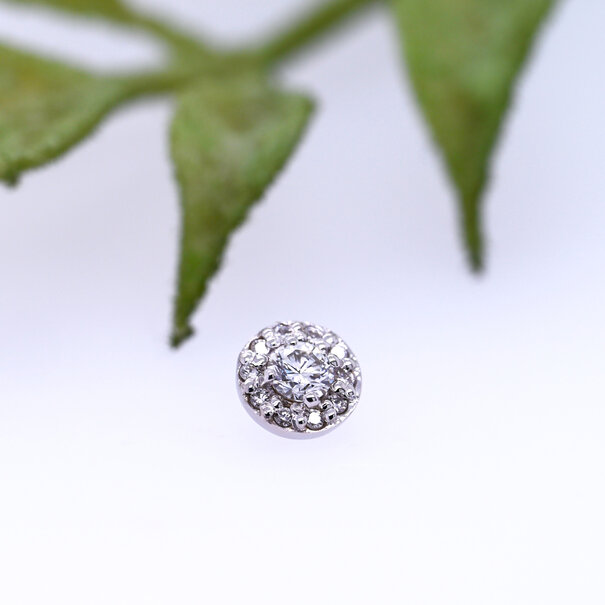 BVLA Altura with Diamonds 3mm