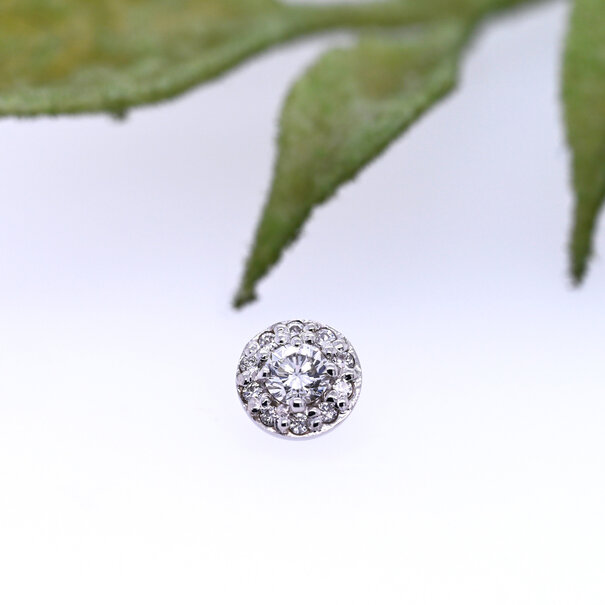 BVLA Altura with Diamonds 3mm
