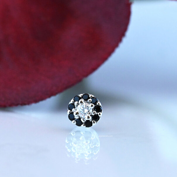 BVLA Altura with Diamond | Onyx