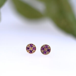 Micro Pave Disc with Rhodolite