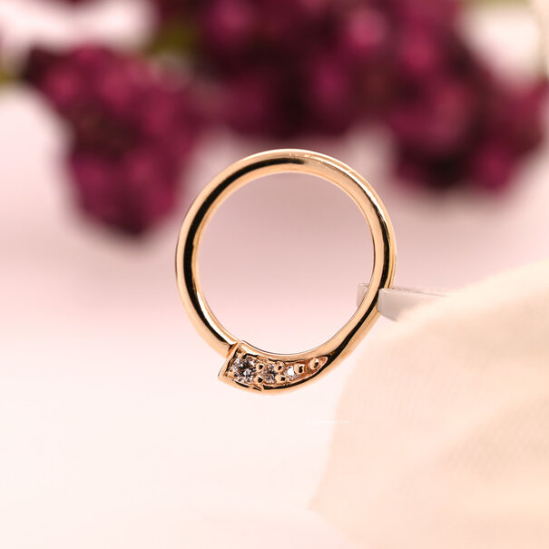 BVLA Prysm with Diamonds