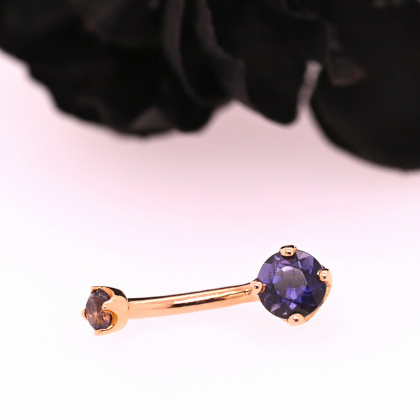 BVLA Navel Curve | 4 Prong with Iolite