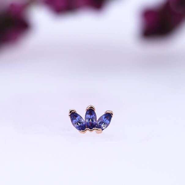 BVLA Marquise Fan with Tanzanite