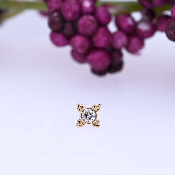 BVLA Mini Kandy with Diamond