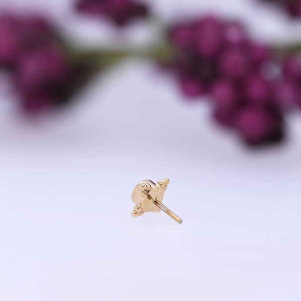 BVLA Mini Kandy with Diamond