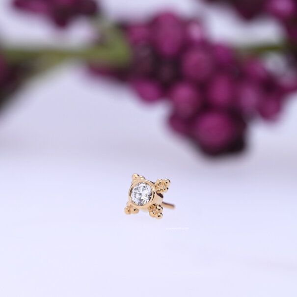 BVLA Mini Kandy with Diamond