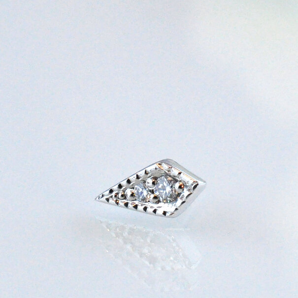 BVLA Dario with Diamond