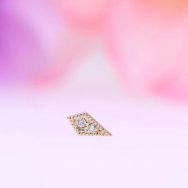 BVLA Dario with Diamond