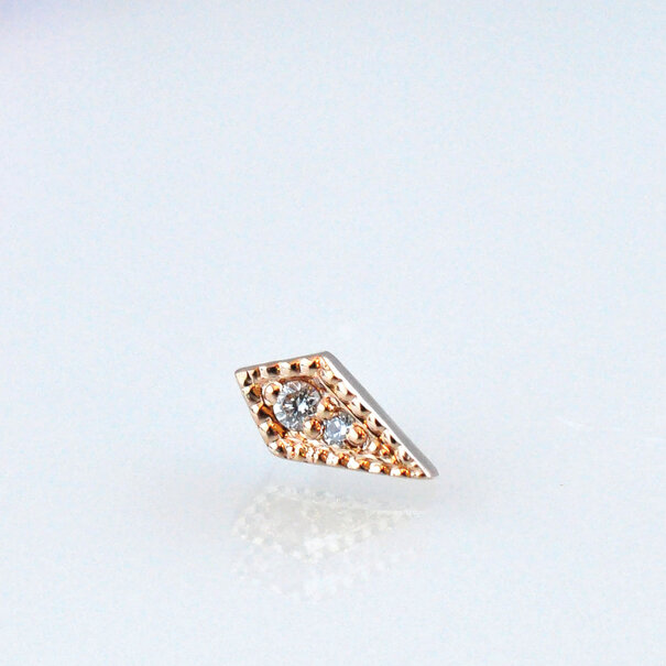 BVLA Dario with Diamond