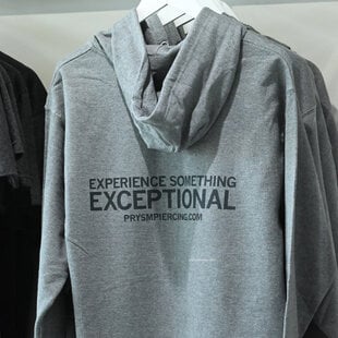 Experience Something Exceptional Zip-Up Sweatshirt