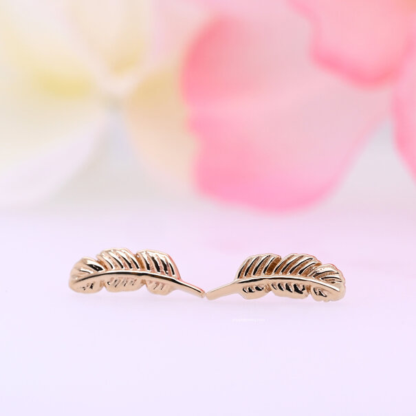BVLA Feather