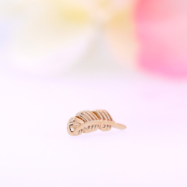 BVLA Feather