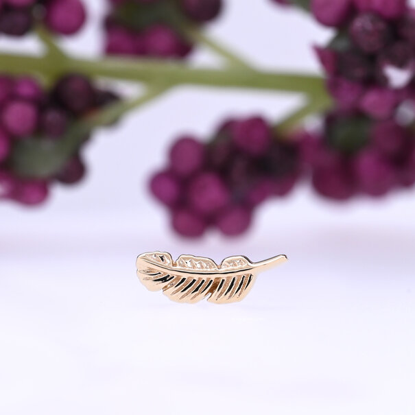 BVLA Feather